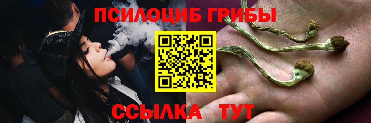 Мурино  Галлюциногенные грибы Magic Shrooms  Вход с VPN  Псилоцибиновые грибы Psilocybine cubensis 
